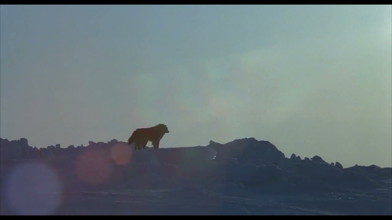 Thumbnail trailer Antarctica