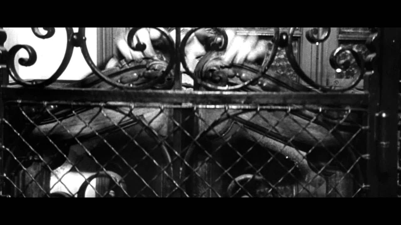 Thumbnail trailer L'uomo senza passato