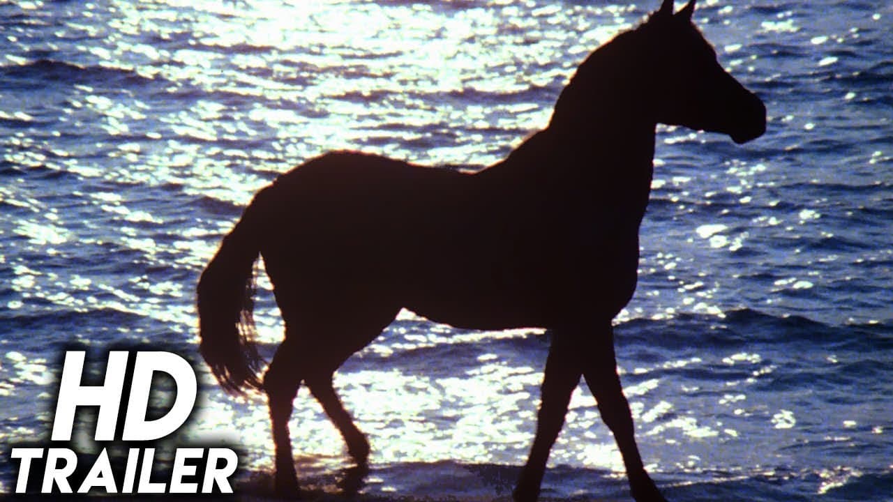 Thumbnail trailer Black Stallion