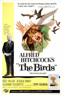 Gli uccelli